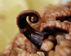 Luis Meléndez – Baby Octopus in Sofregit Sauce | Megan R. Fizell | Art ...